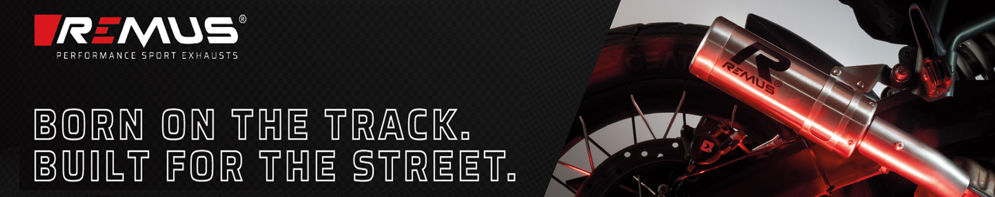 Banner REMUS